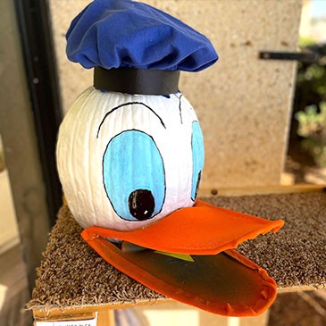 #7 Donald Duck