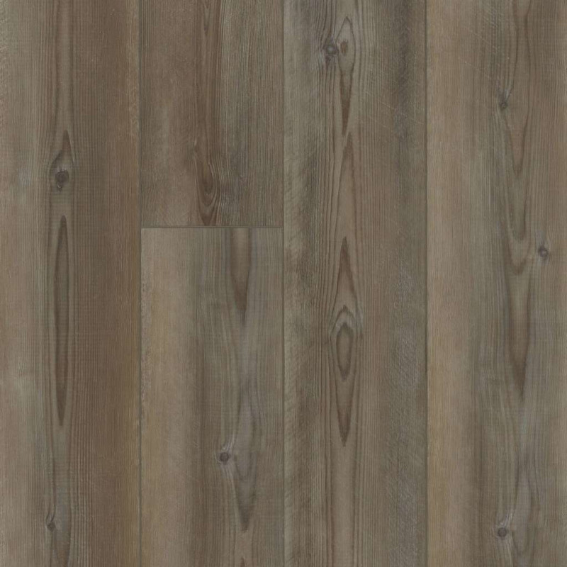 Paragon 7" Plus - Ripped Pine