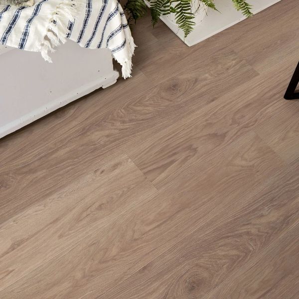 Pantheon HD+ Natural Bevel - Truffle