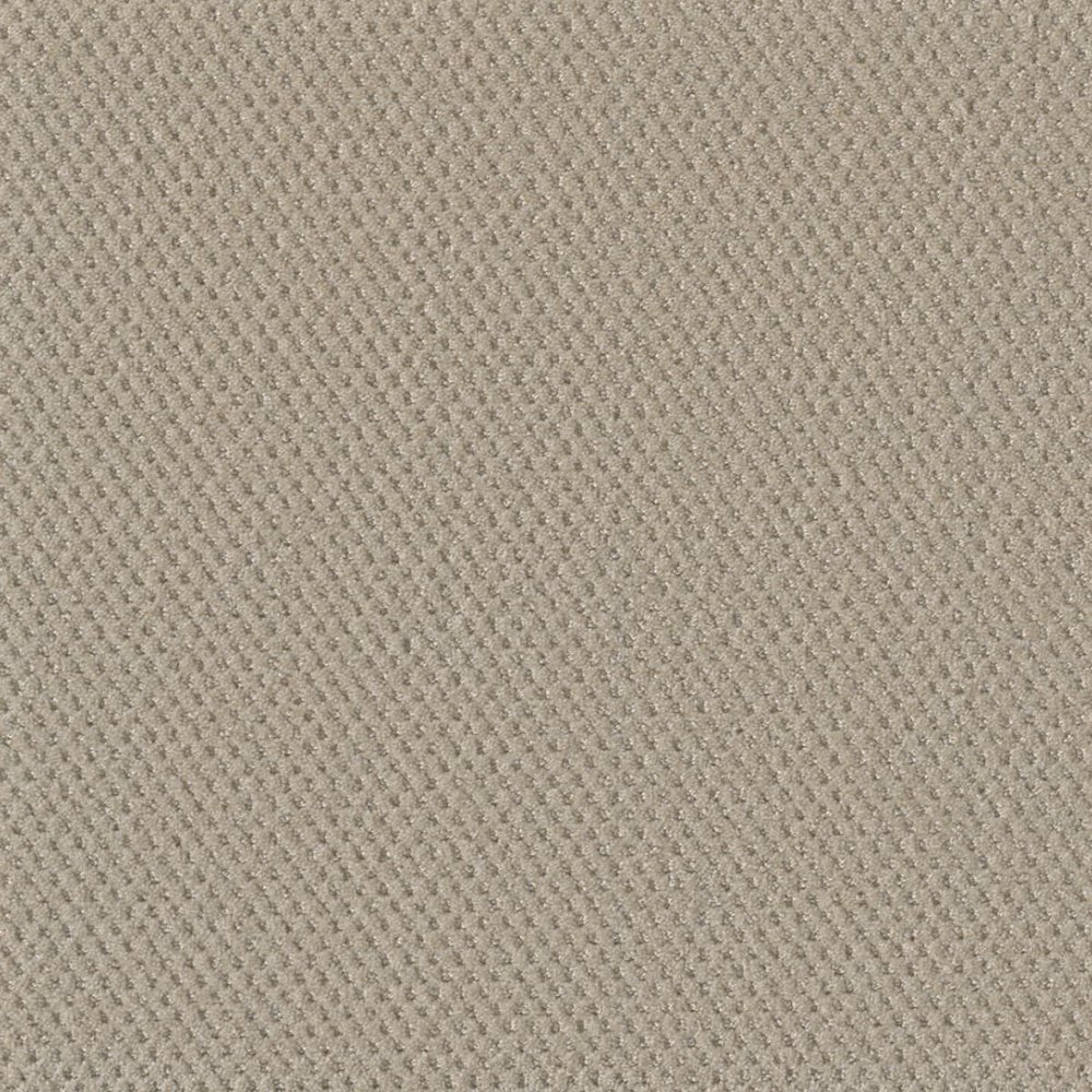 Moon Bay - Champagne Fizz