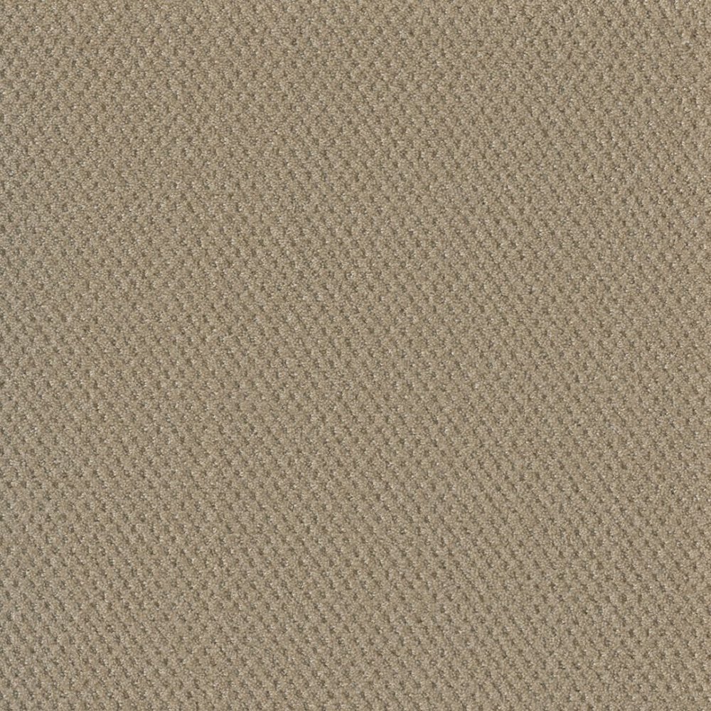 Moon Bay - Soft Pine