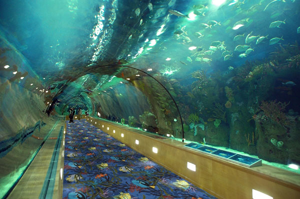 Under the Sea - Multi