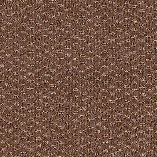 Starcrest - Allspice