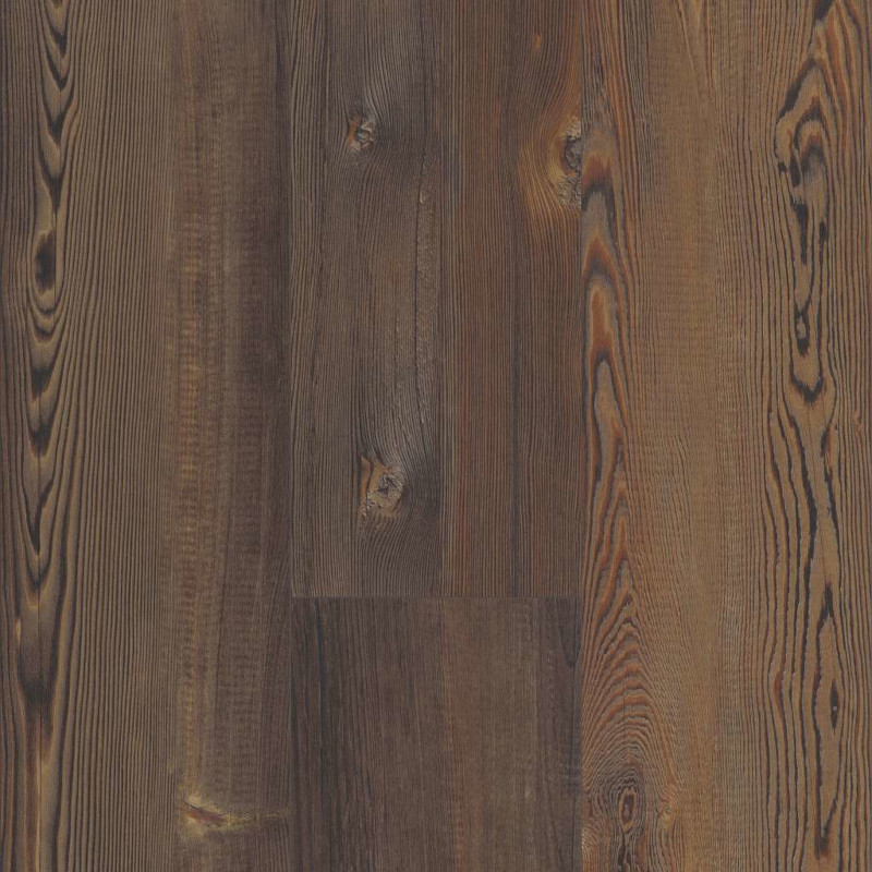 Intrepid HD Plus - Forest Pine