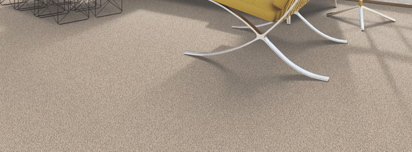 Natural Splendor I - Cat-Tail