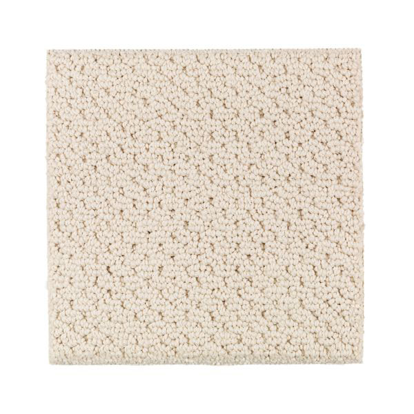 Nature's Beauty (Moonbeam) by Mohawk Carpet Wholesale Prices