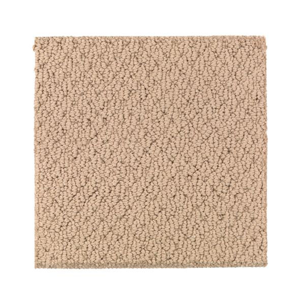 Nature's Beauty (Maple Tint) by Mohawk Carpet Hot Deals