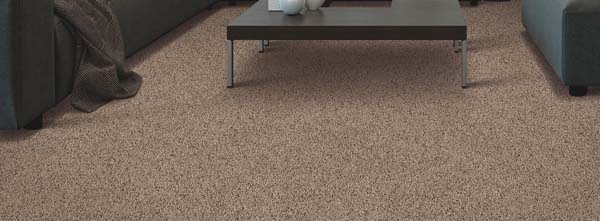 Carpet style truly deals soft ii color dewkist