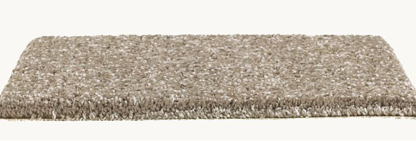 Natural Treasure - Dried Peat