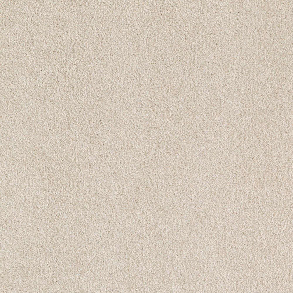 Ideal Outlook - Downy Lustre