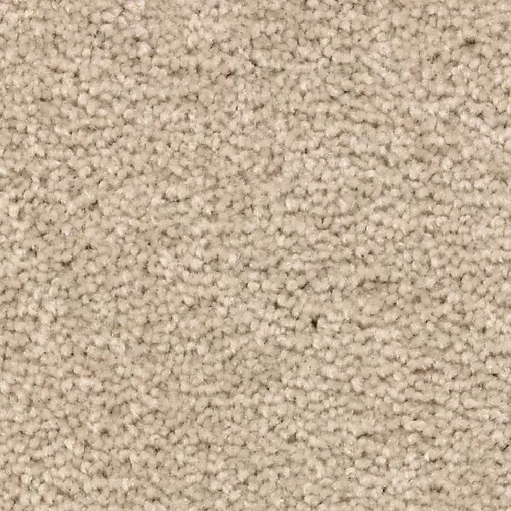 Treasure Valley - December Lace
