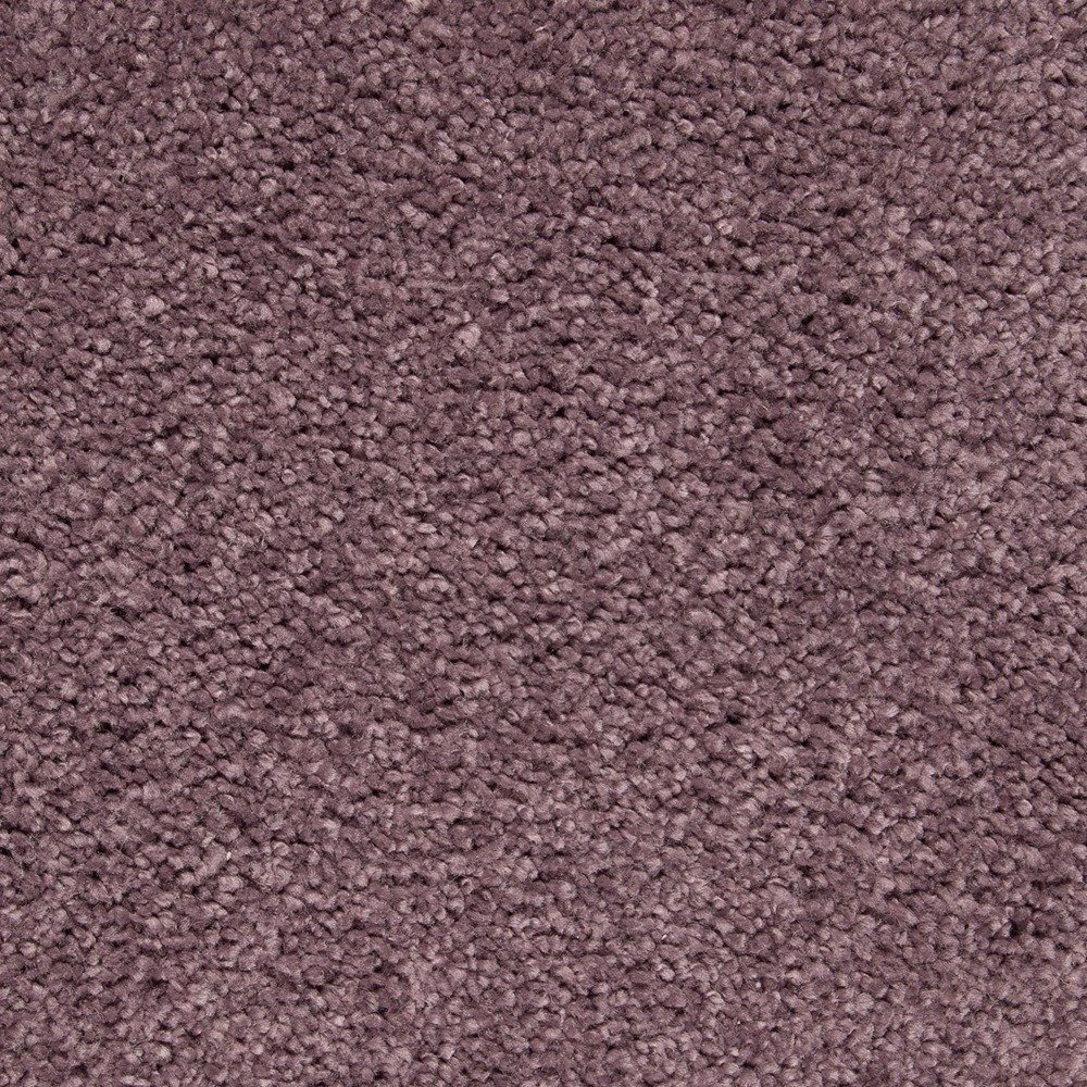 Pleasant Touch - Winter Amethyst
