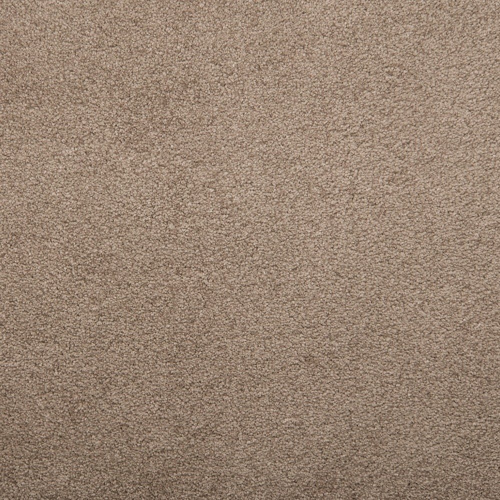 Pleasant Touch - Tudor Brown