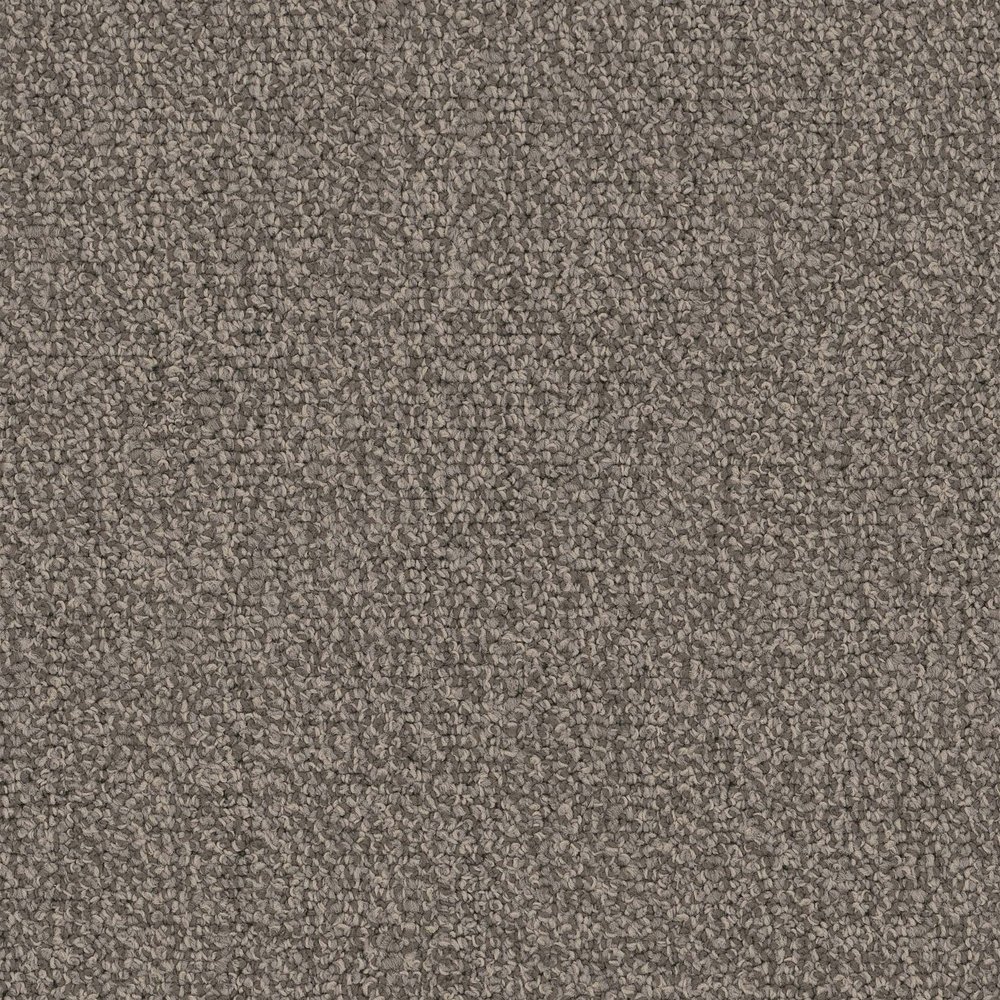 Chivalry 20 Broadloom - Nobel