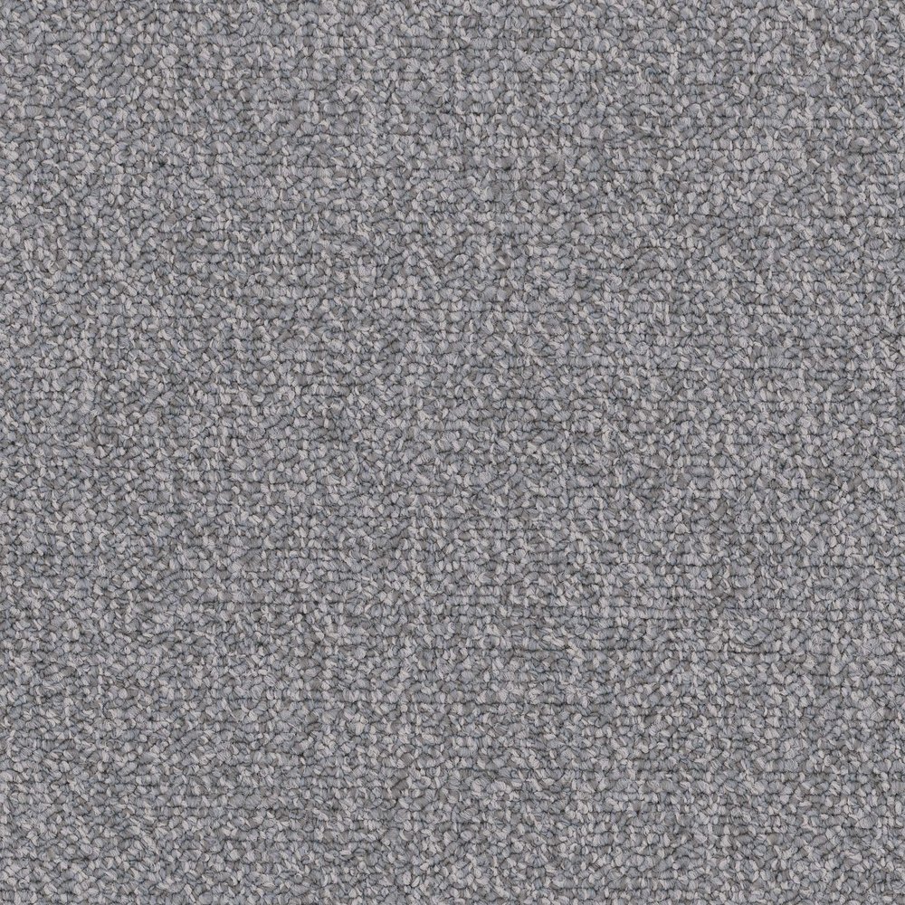 Chivalry 20 Broadloom - Courteous