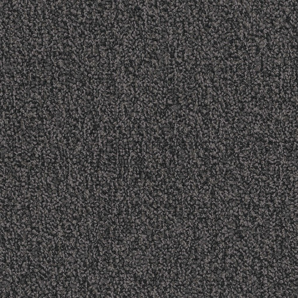Chivalry 20 Broadloom - Gentleman