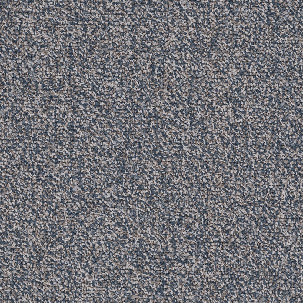 Chivalry 26 Broadloom - Defender