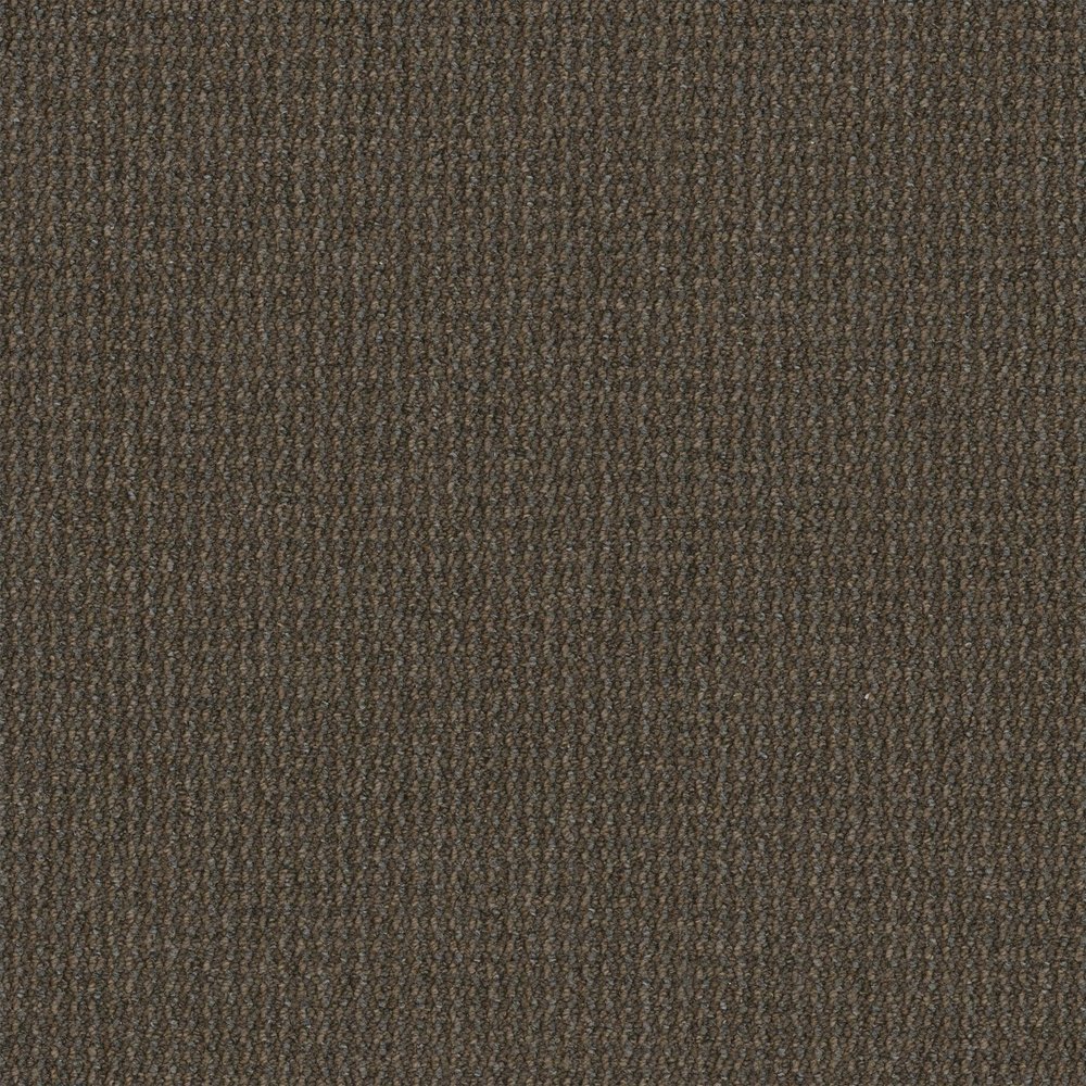 Backroads Broadloom - Scenic Trip