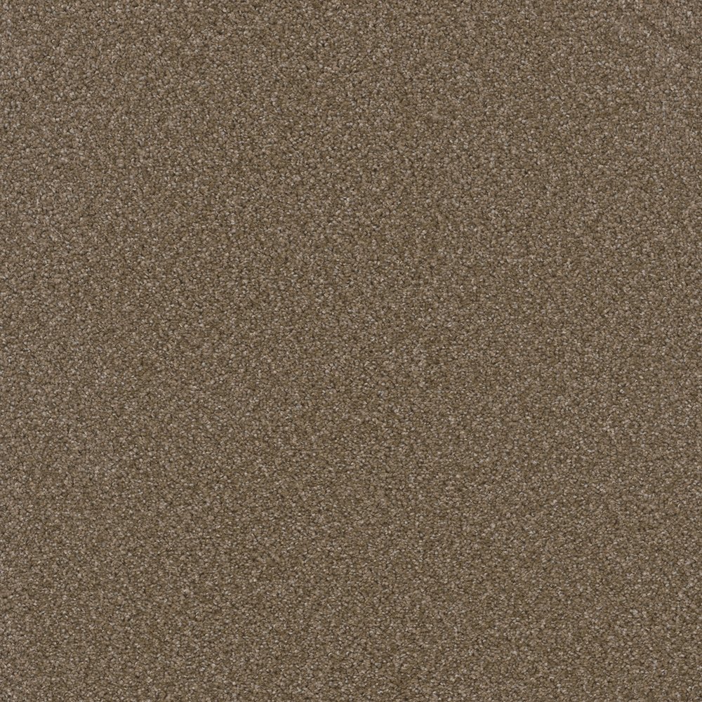 Broadcast Plus - Chestnut