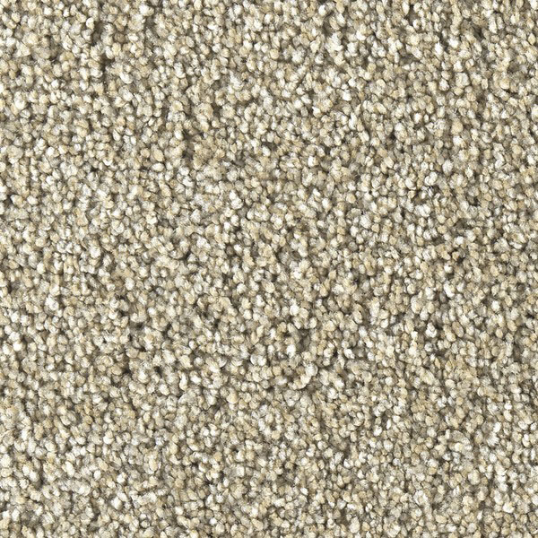 Soft Luxury Marquis Carpet Shop from Home and Save!