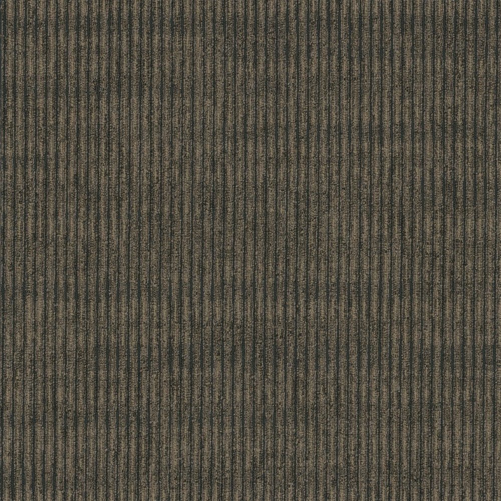 Sidewinder Broadloom - Caravan