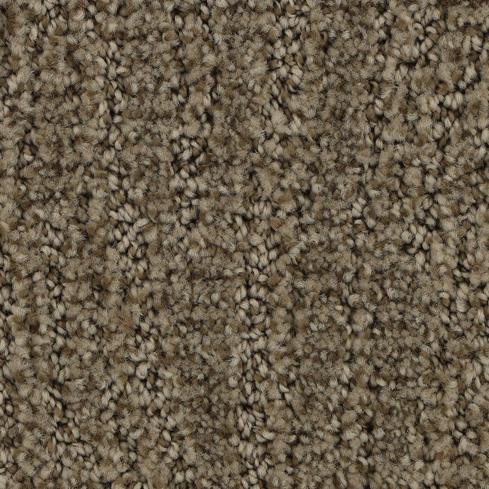 Stylish Trend - Hickory