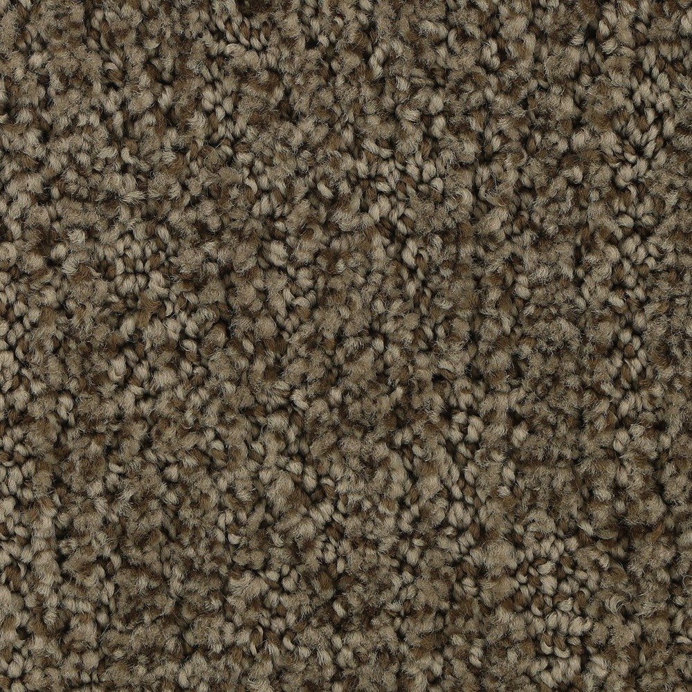 Stylish Trend - Malted