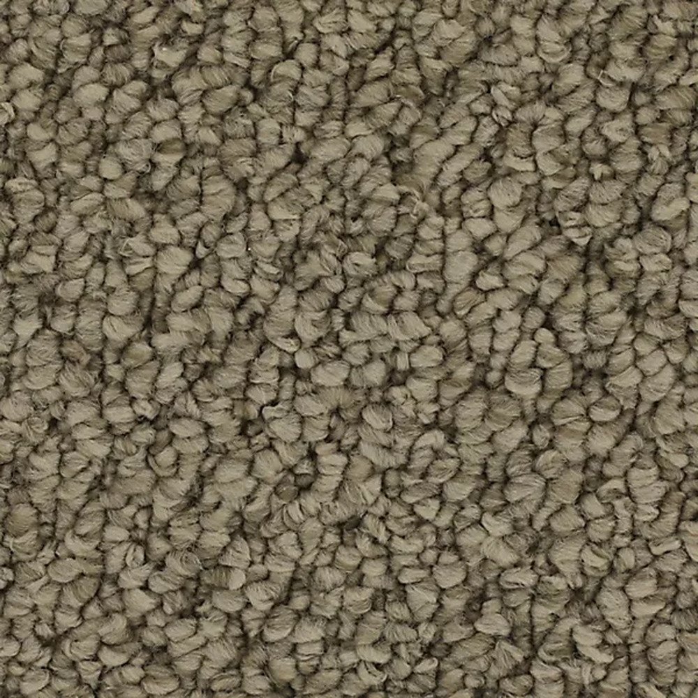 Cozy Classic - Taupe Whisper