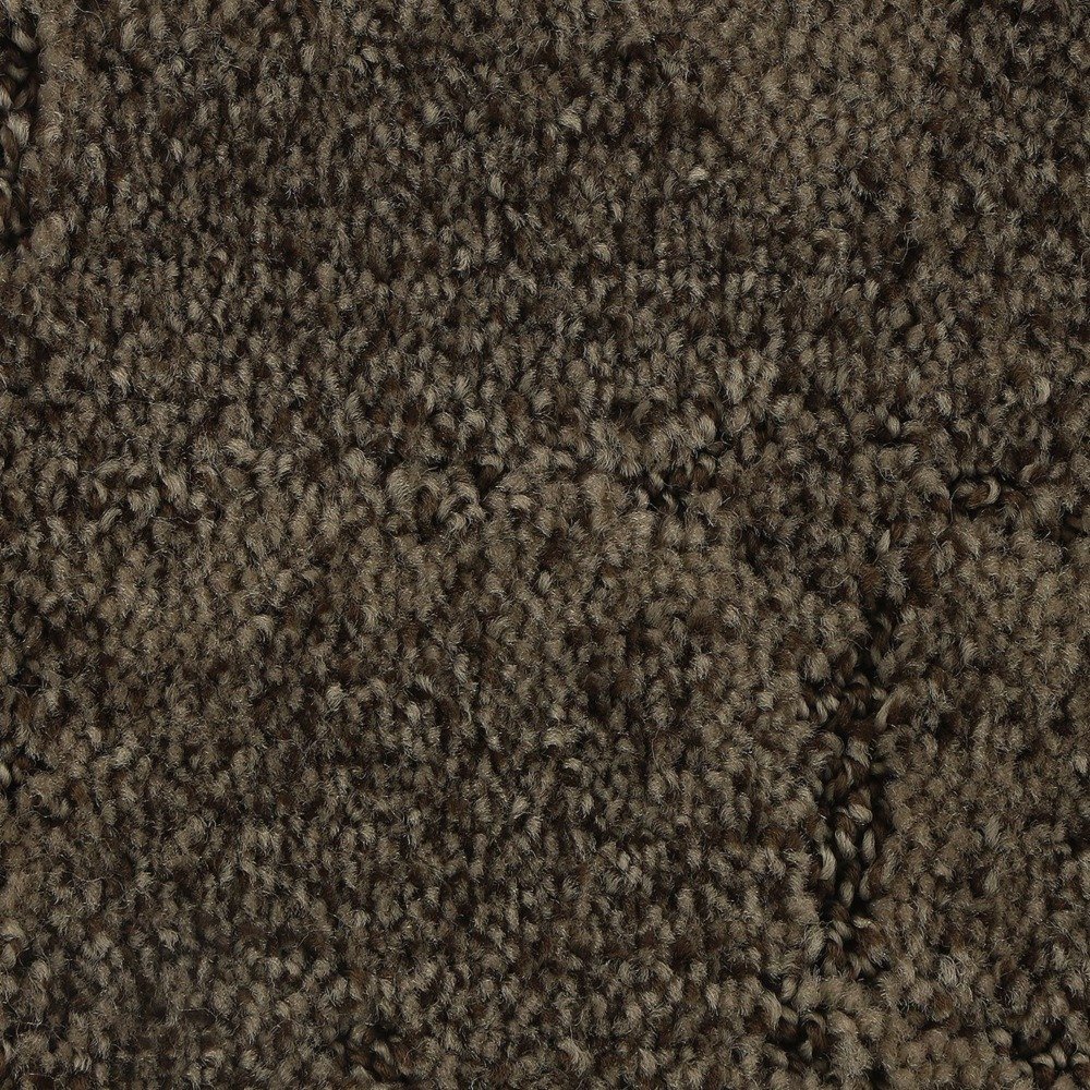 Elaborate Appeal - Sequoia