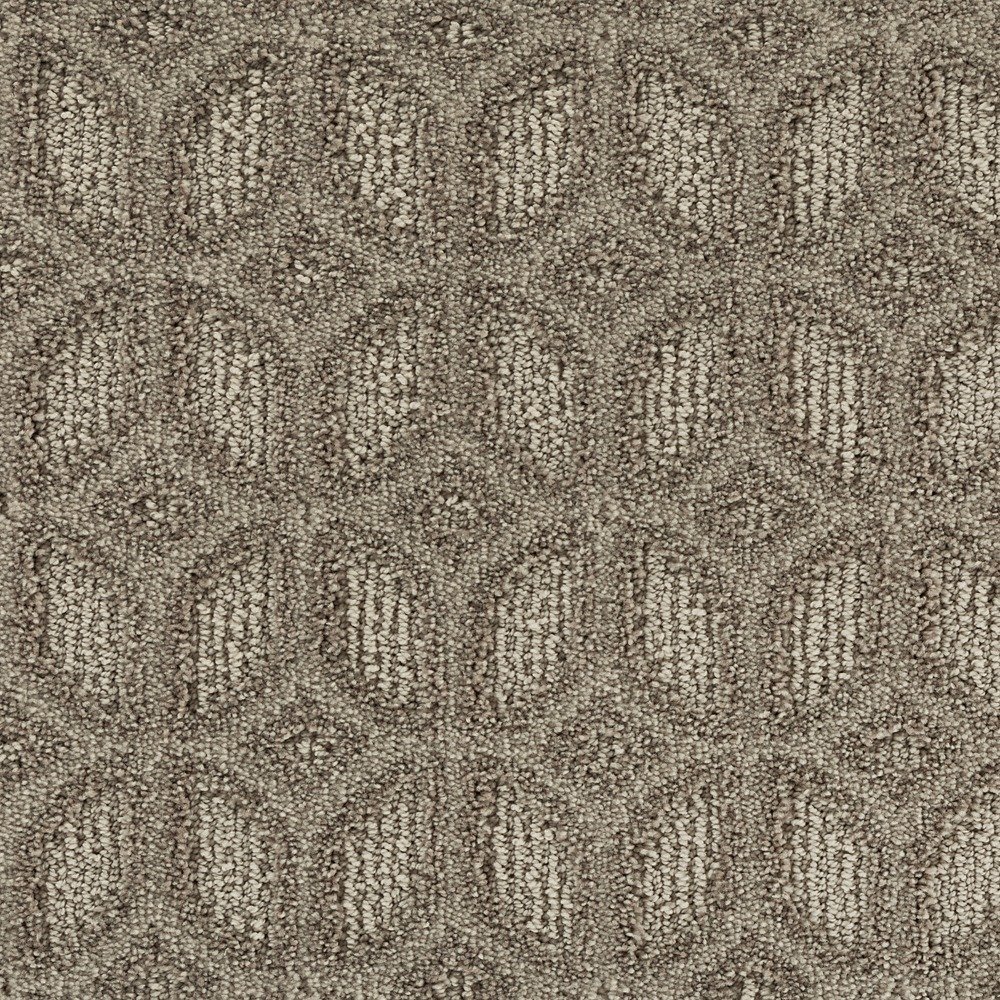 Regal Appeal - Nomad