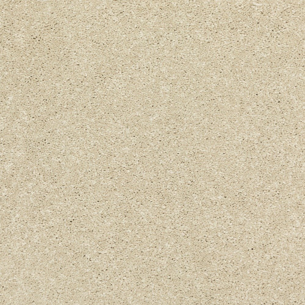 Modern Story II - Sugar Cookie