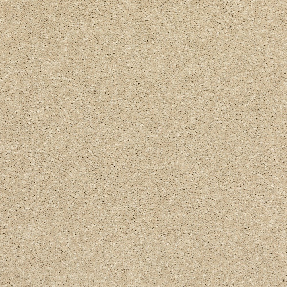 Modern Story III - Seashells