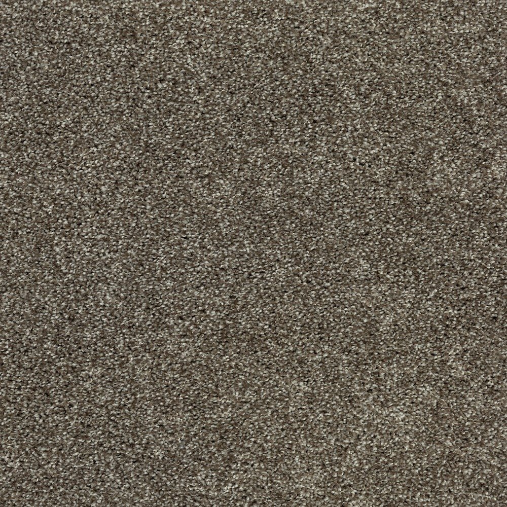 Tonal Allure II - Portobello