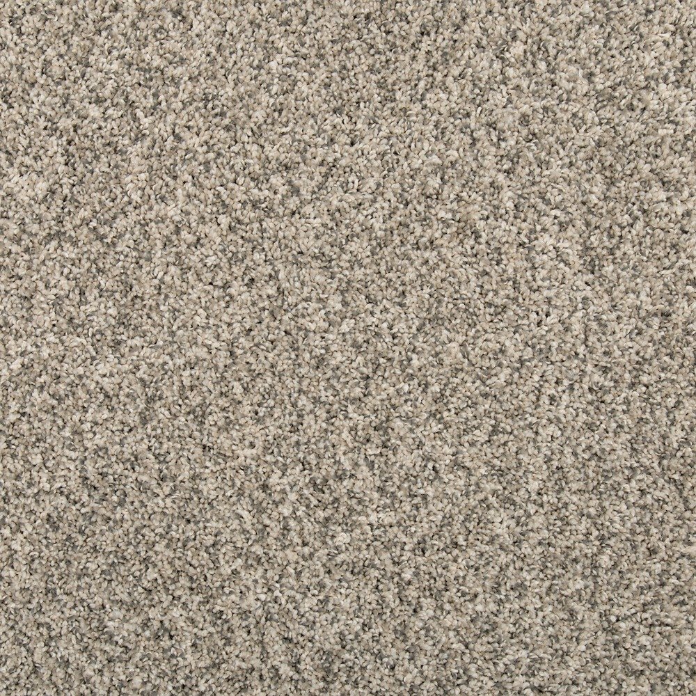 Renovate I - Silver Dollar