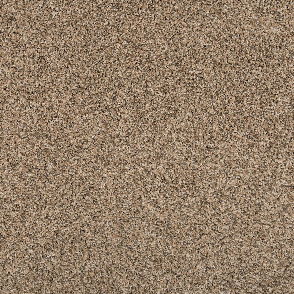 Renovate I - Flax Seed