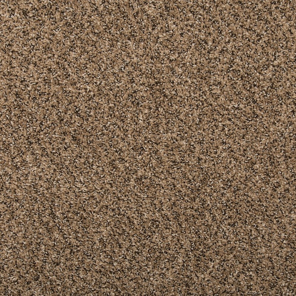 Renovate I - Pretzel Twist