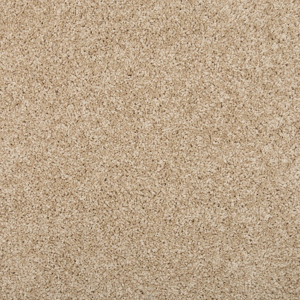 Renovate III - Sugar Cookie