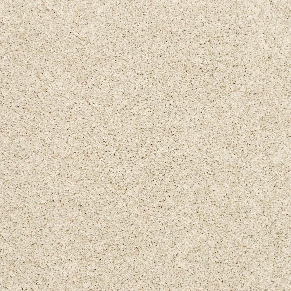 Purrsonality I - Canvas Cloth