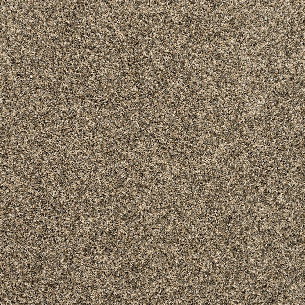 Purrsonality I - Cracked Wheat