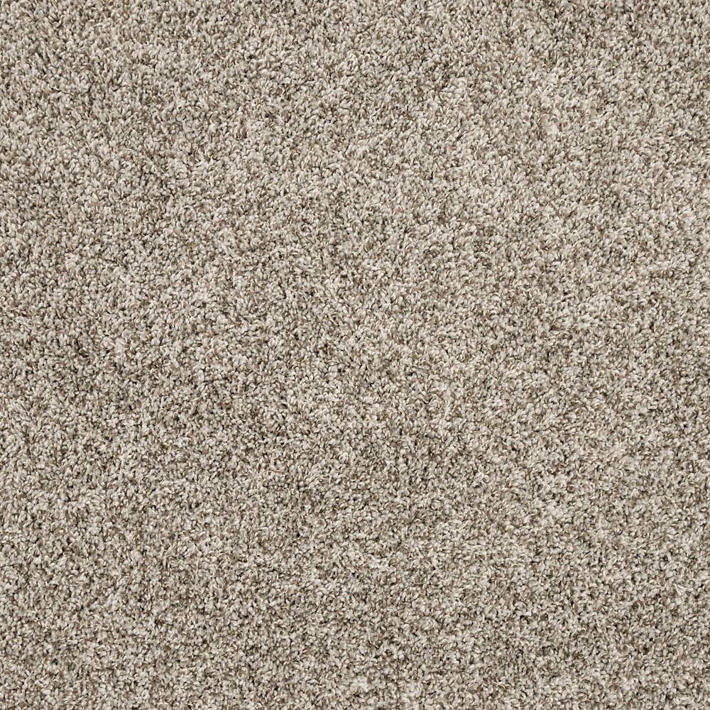 Purrsonality I - Pebble Trail