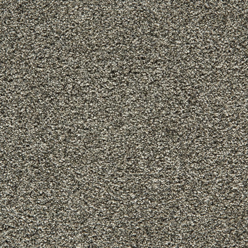 Cozy Companion II - Slate