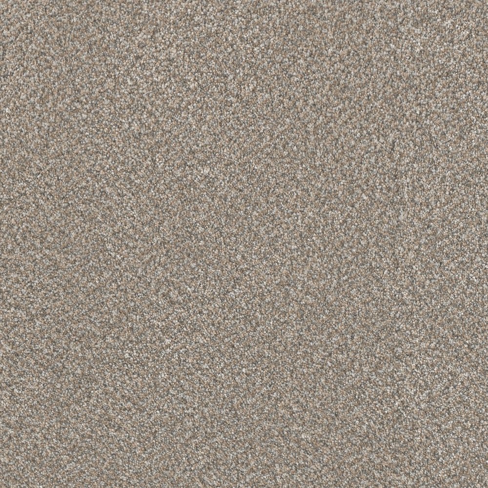 Lucky Penny I - Burnished