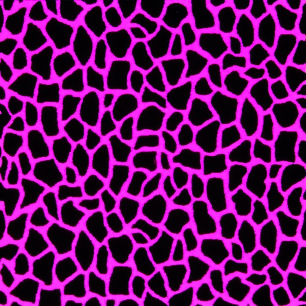 Midnight Safari Fluorescent - Fluorescent Light