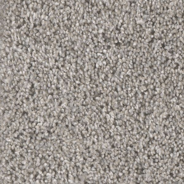 Knockout II | Dreamweaver Carpet | Save 30-50% at Carpet Express