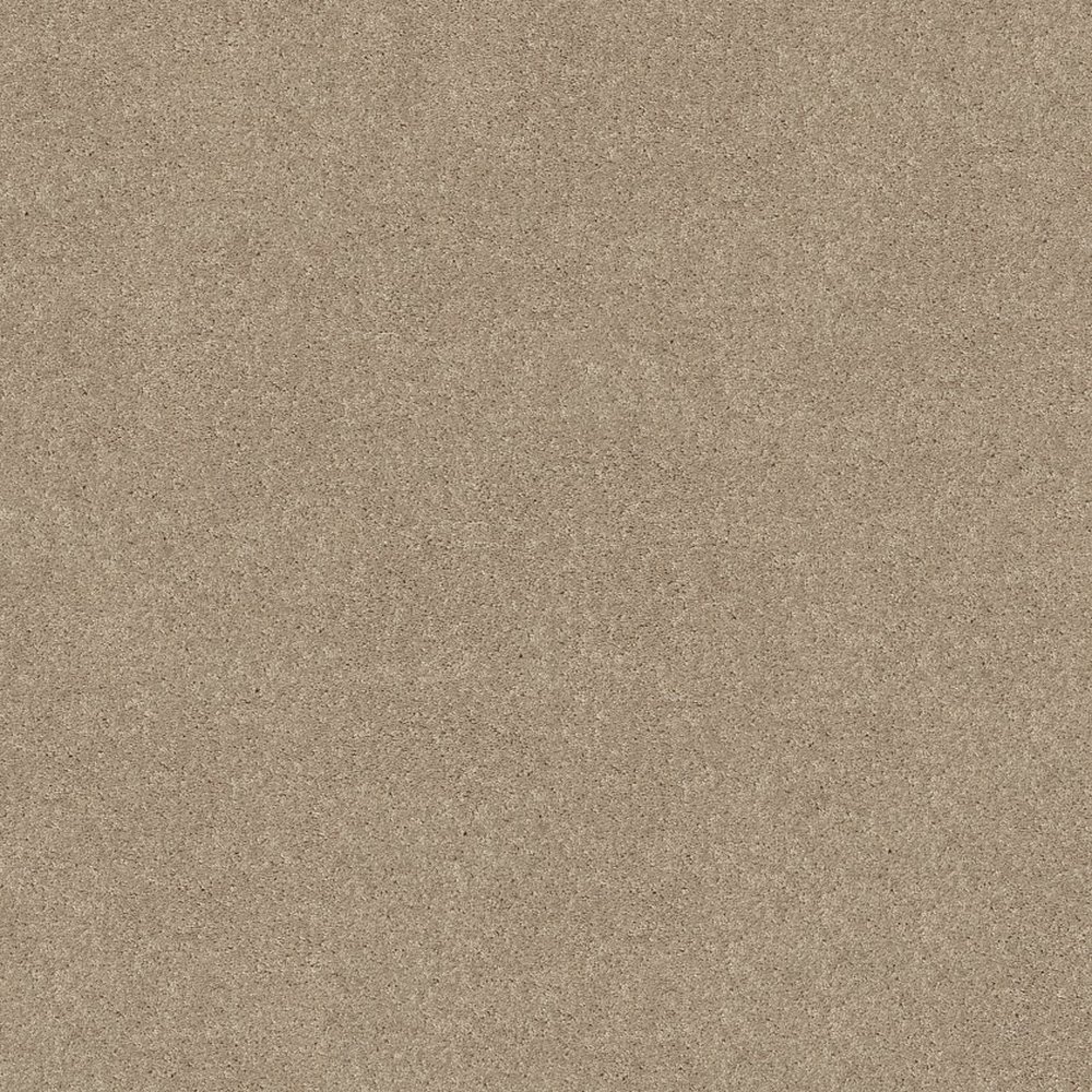 Essay II 12' - Sand Dollar