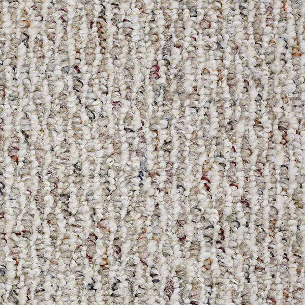 Shaw nylon on sale berber carpet