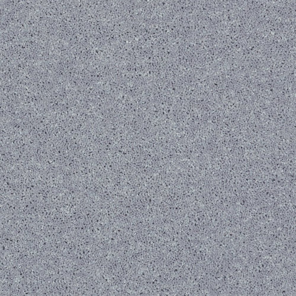 Full Court 12' - Dolphin