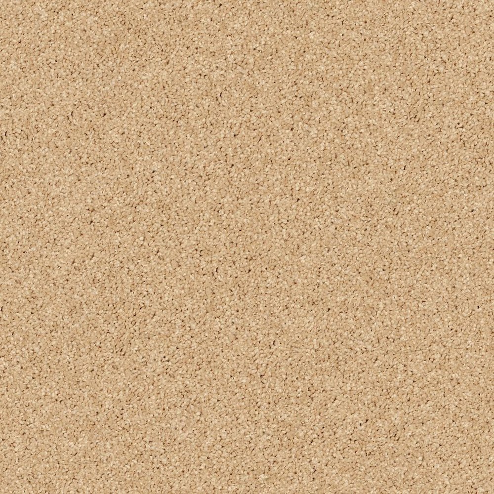 Fielder's Choice 15' - Sun Beam