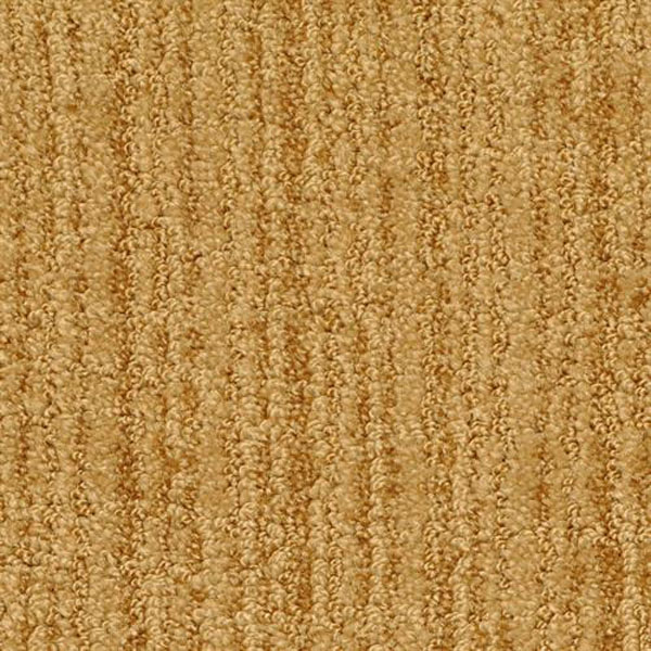 Cypress - Maple