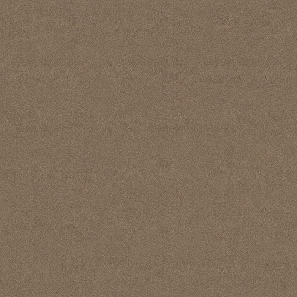 Emphatic II 30 - Clay Bisque